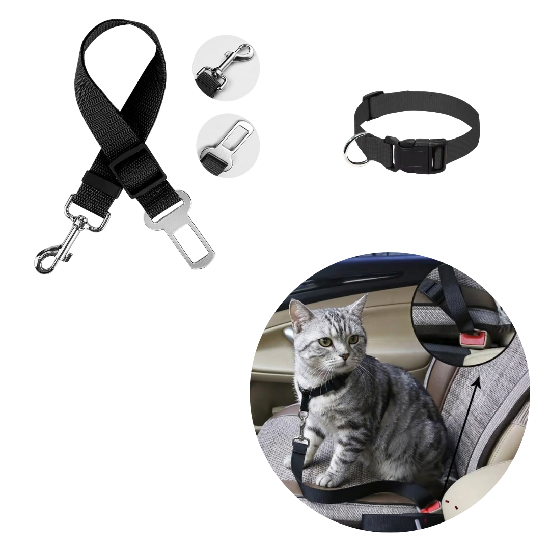 Pack Viaje seguro - Collar + Cinturón seguridad CatSafe
